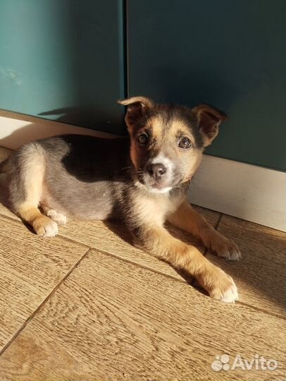 Как страшно жить