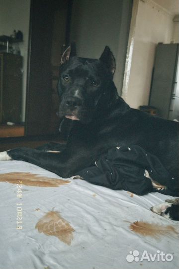 Кабель на вязку