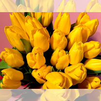 Тюльпаны оптом с теплицы