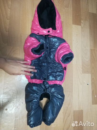 Зимняя куртка для собаки