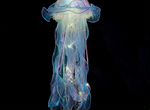 Медуза светодиодная светильник лампа лед гирлянда