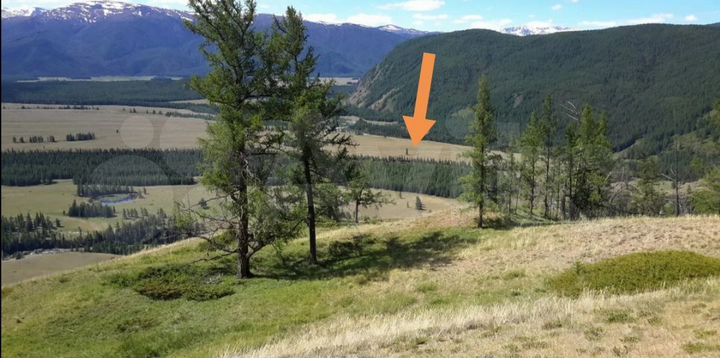 Участок 32,72 га (СНТ, ДНП)