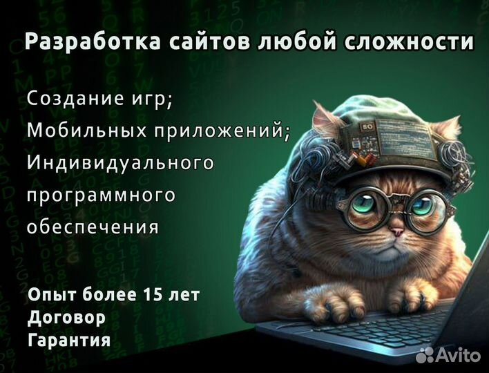 Разработка сайтов, программного обеспечения, игр