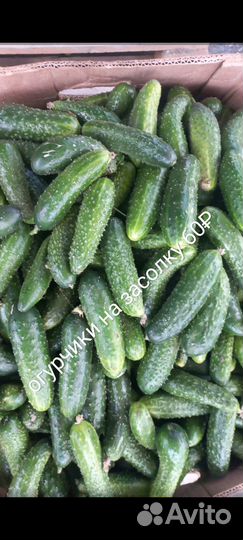 Вкуснейшие,полезные овощи и фрукты