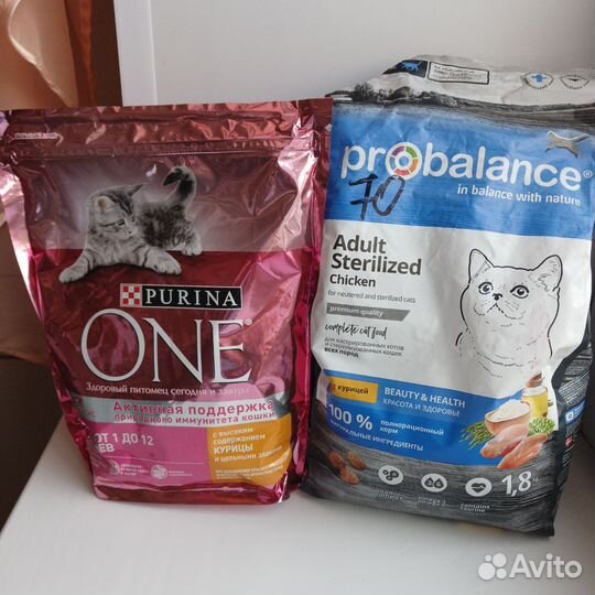 Сухой корм для котят