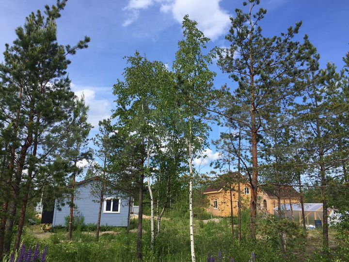 Дом 36 м² на участке 9 сот.