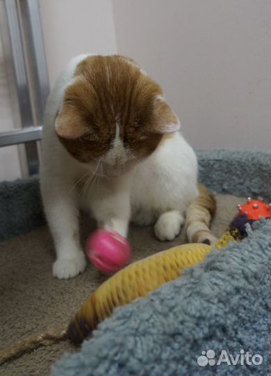 В ожидании семьи