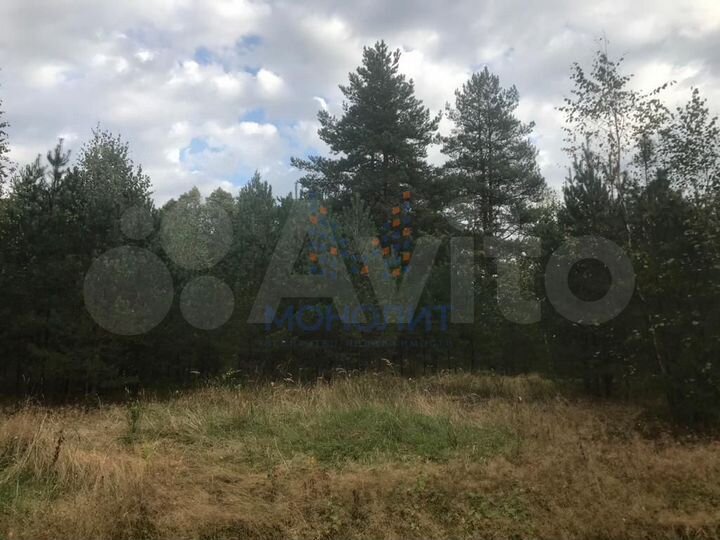 Участок 5 га (промназначения)