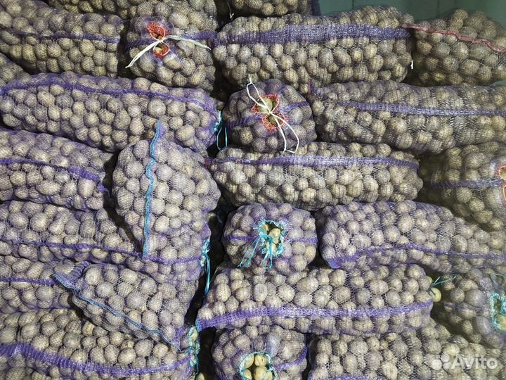 Продам картофель