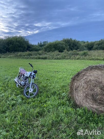 Мопед альфа 110