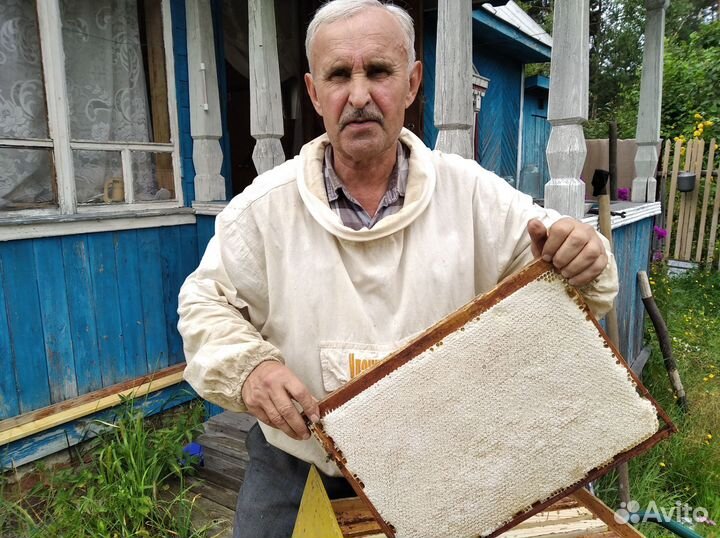 Пчелосемьи. Можно с ульями