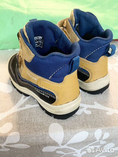 Ботинки демисезонные geox 24