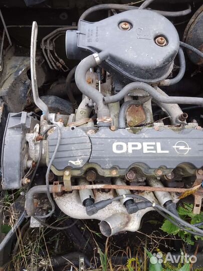 Двигатель Опель вектора b