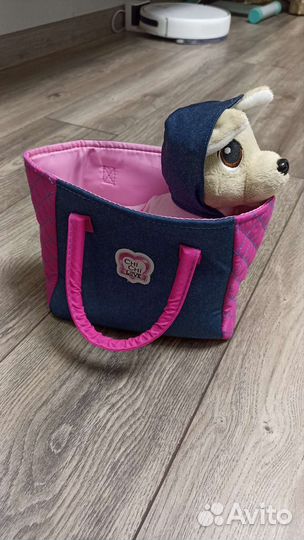 Собака чичилав