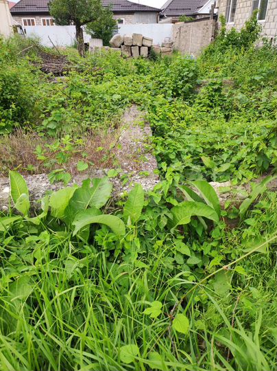 Участок 5,8 сот. (ИЖС)