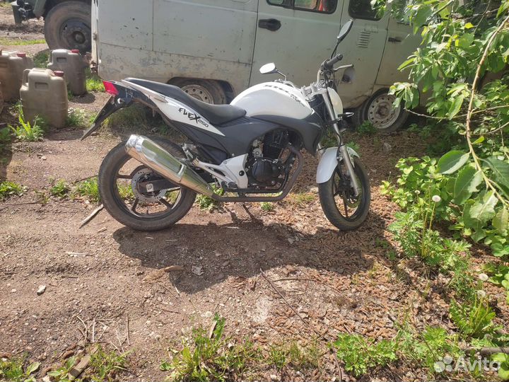 Stels fleks 250