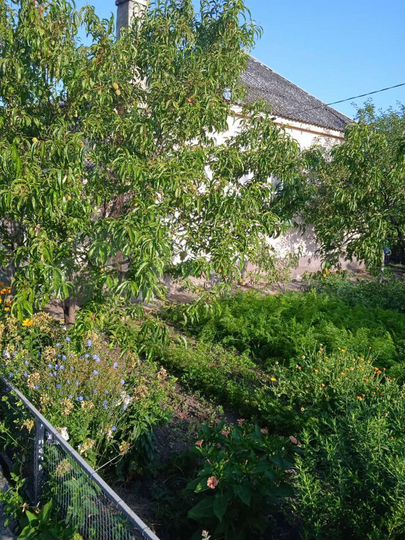 Дом 131,7 м² на участке 36 сот.