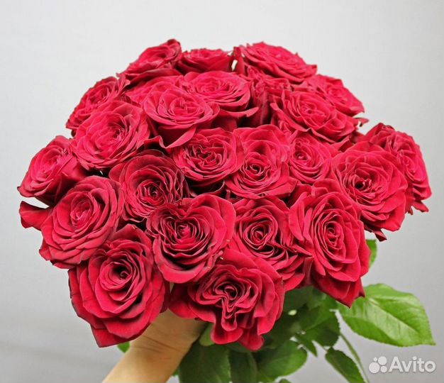 Розы Цветы Букеты