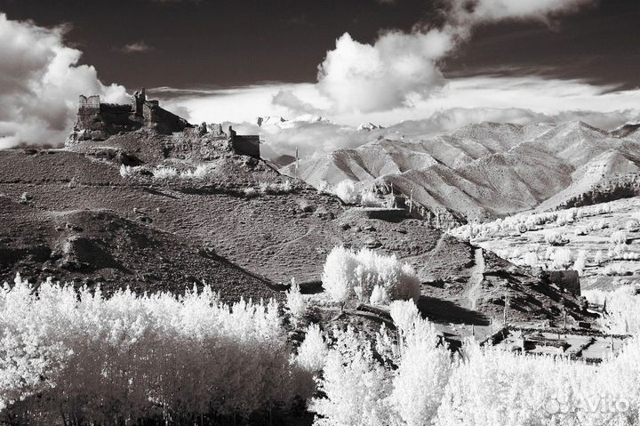 Фотоаппарат Canon 50D для инфракрасной съёмки