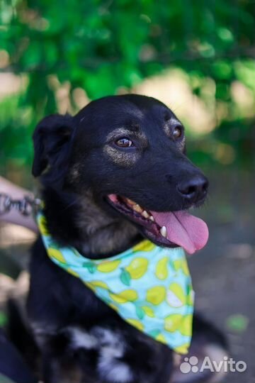 Спасите пока не стало поздно