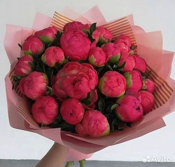 Пионы Букет пионов