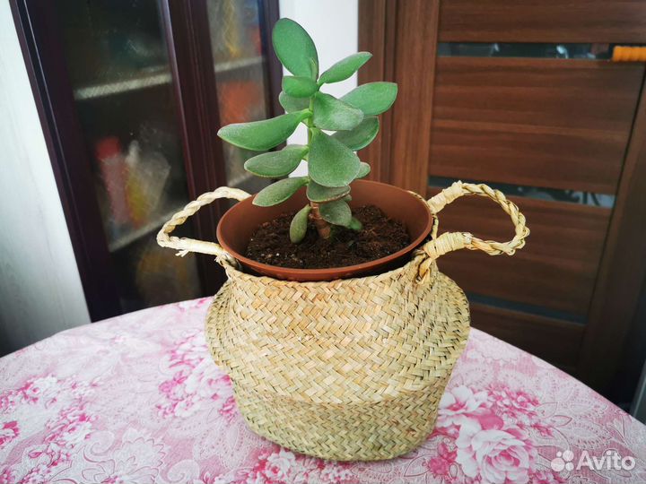 Кашпо для цветов, корзина плетеная