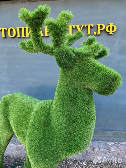 Топиари Топиарные фигуры Садовые фигуры