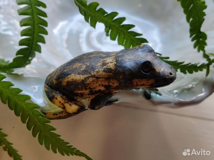 Декоративная миска