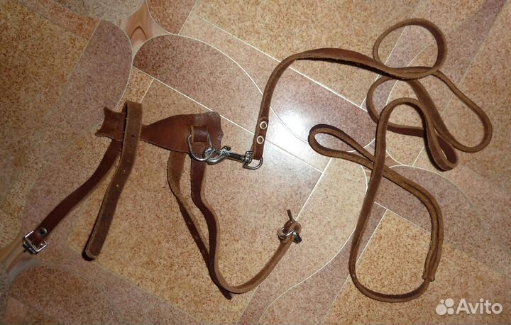 Поводок шлейка намордник