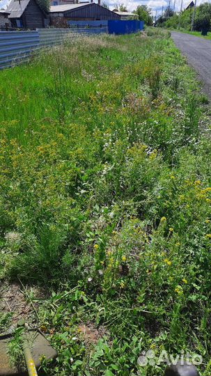 Скошу траву