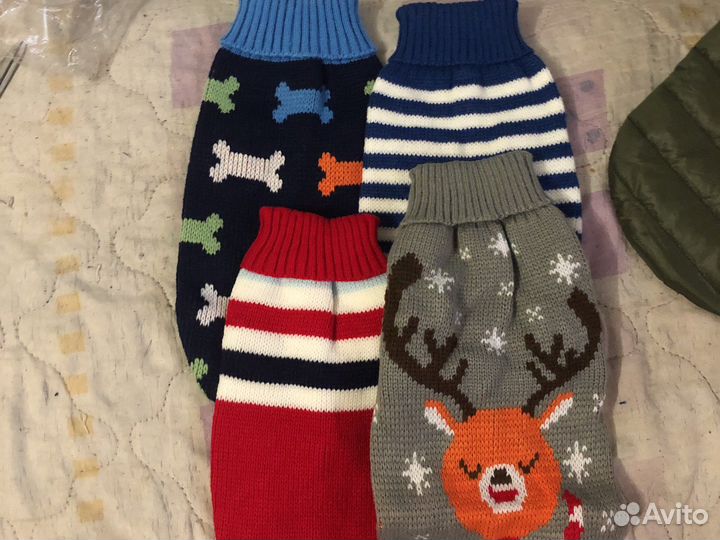 Новая однжда для собак