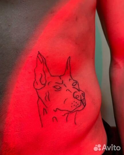 Модель на тату бесплатно