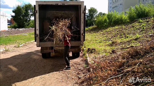 Расчистка участка Вывоз хлама