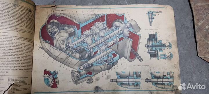 Книга муравей