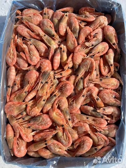 Креветка Северная 80-100