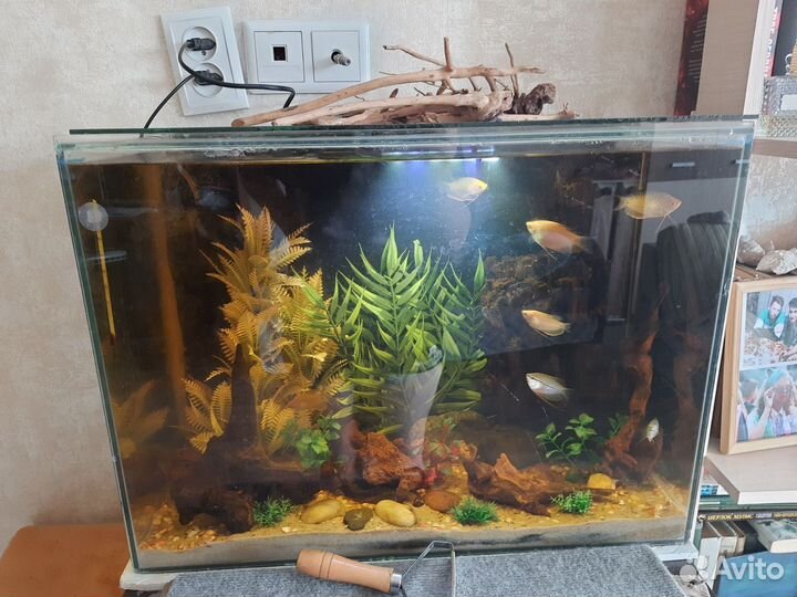 Готовый аквариум