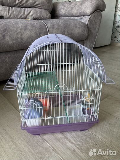Клетка для хомяка или попугая