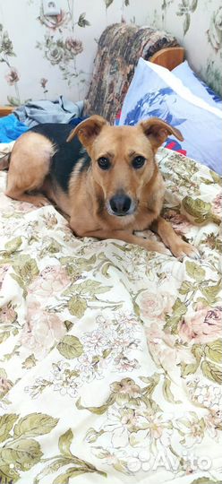 Помогите спасти