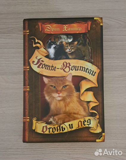 Коты воители