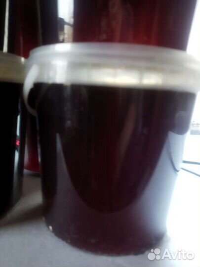 Мёд гречишный Алтай урожай 2024 года