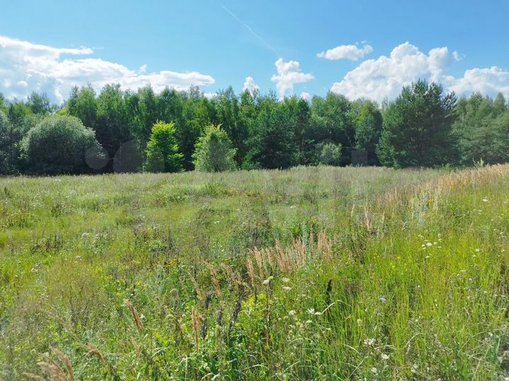 Участок 16,5 сот. (СНТ, ДНП)