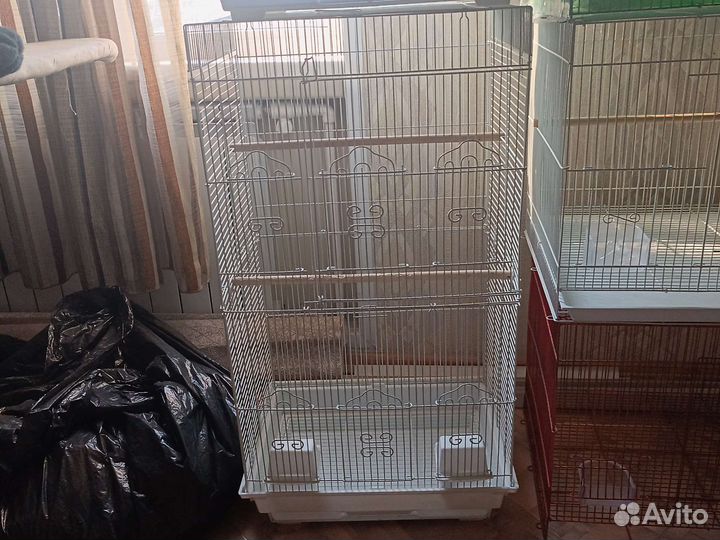 Большие клетки