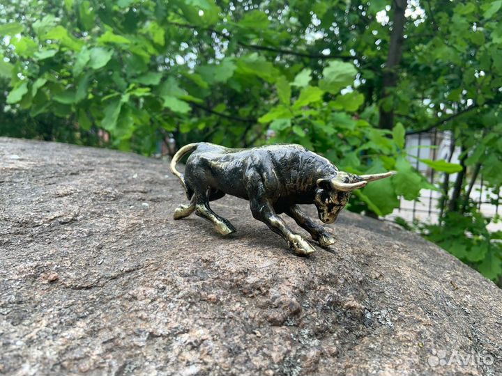 Орёл бронзовый