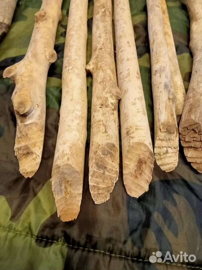 Для творчества, палочки из бобровой плотины