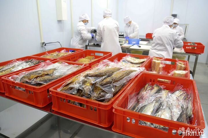 Технологии обработки рыбы