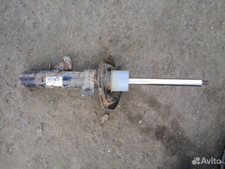 Амортизатор передний правый ford focus II