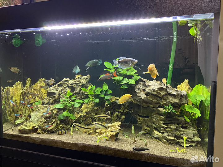 Аквариум 100 литров с тумбой