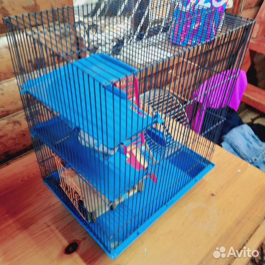 Клетка для сирийского хомячка