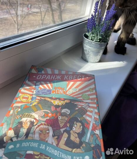 Оранж Квест: в погоне за Конфетным Джо