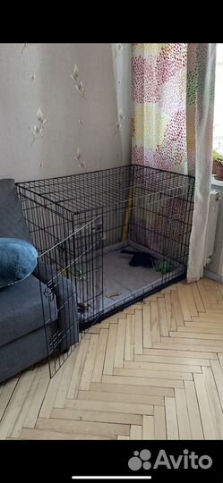 Клетка вольер для собак бу